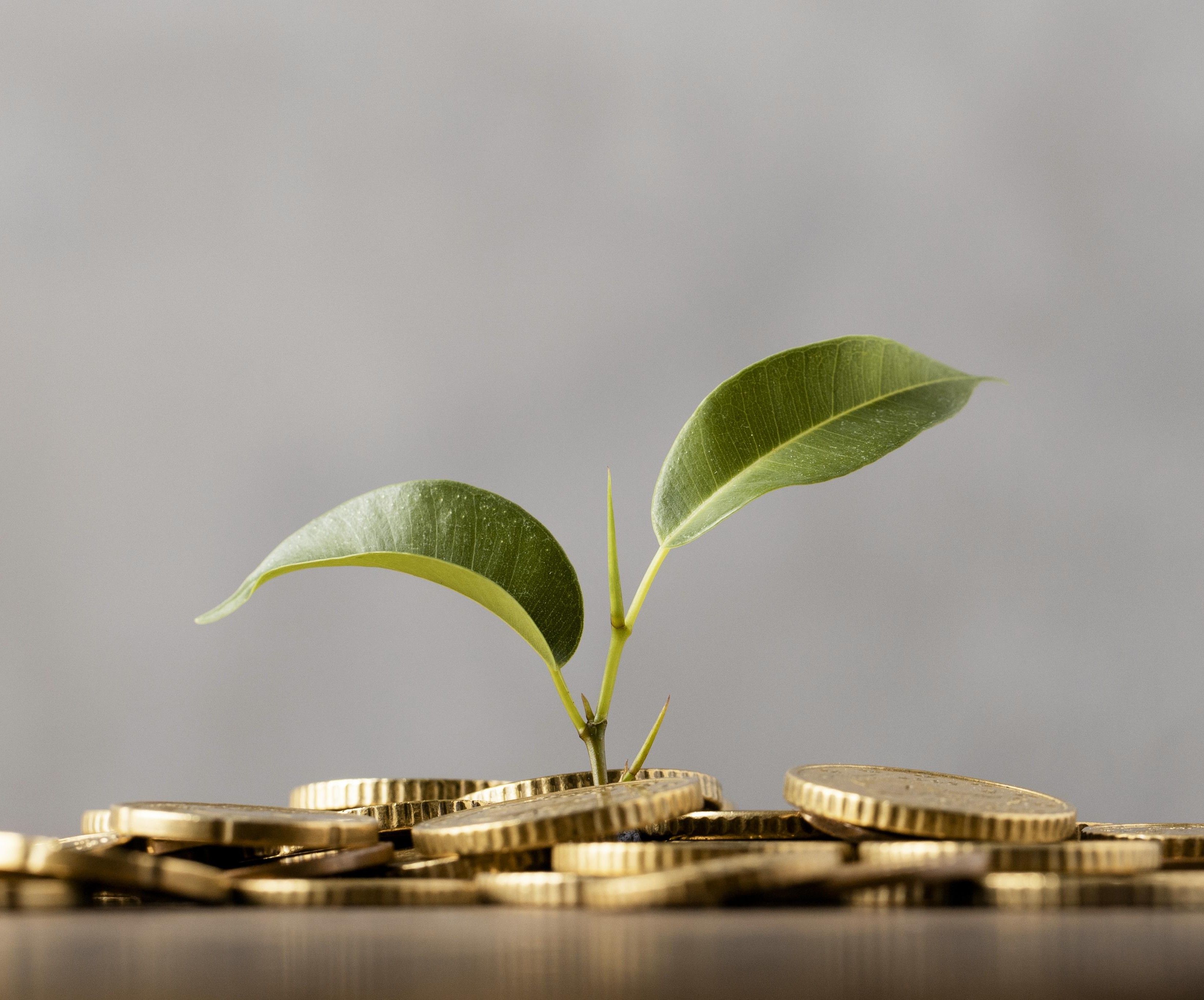 LSMI - Secrétaire médicale